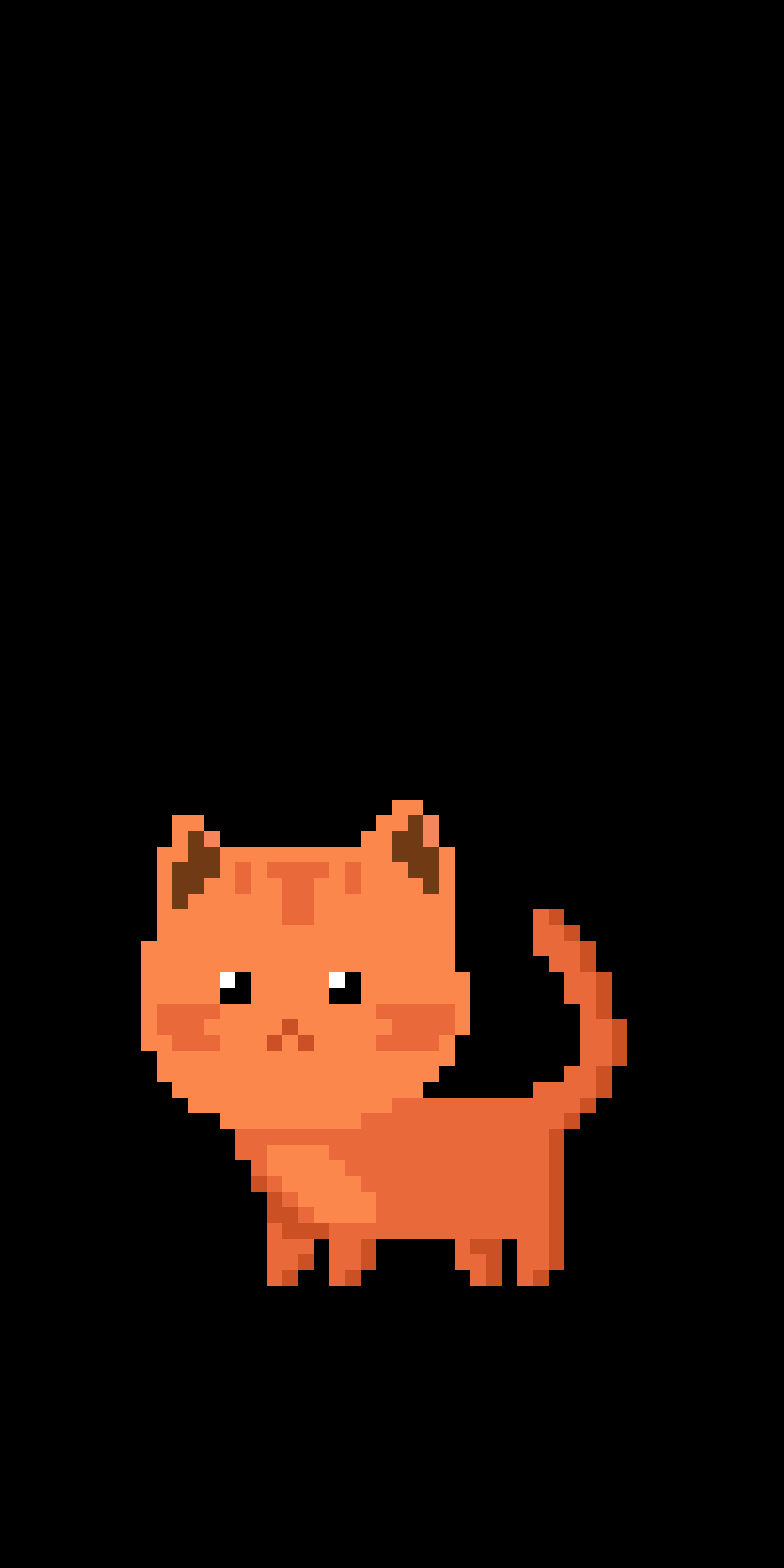 Orange Cat on Dark Canvas