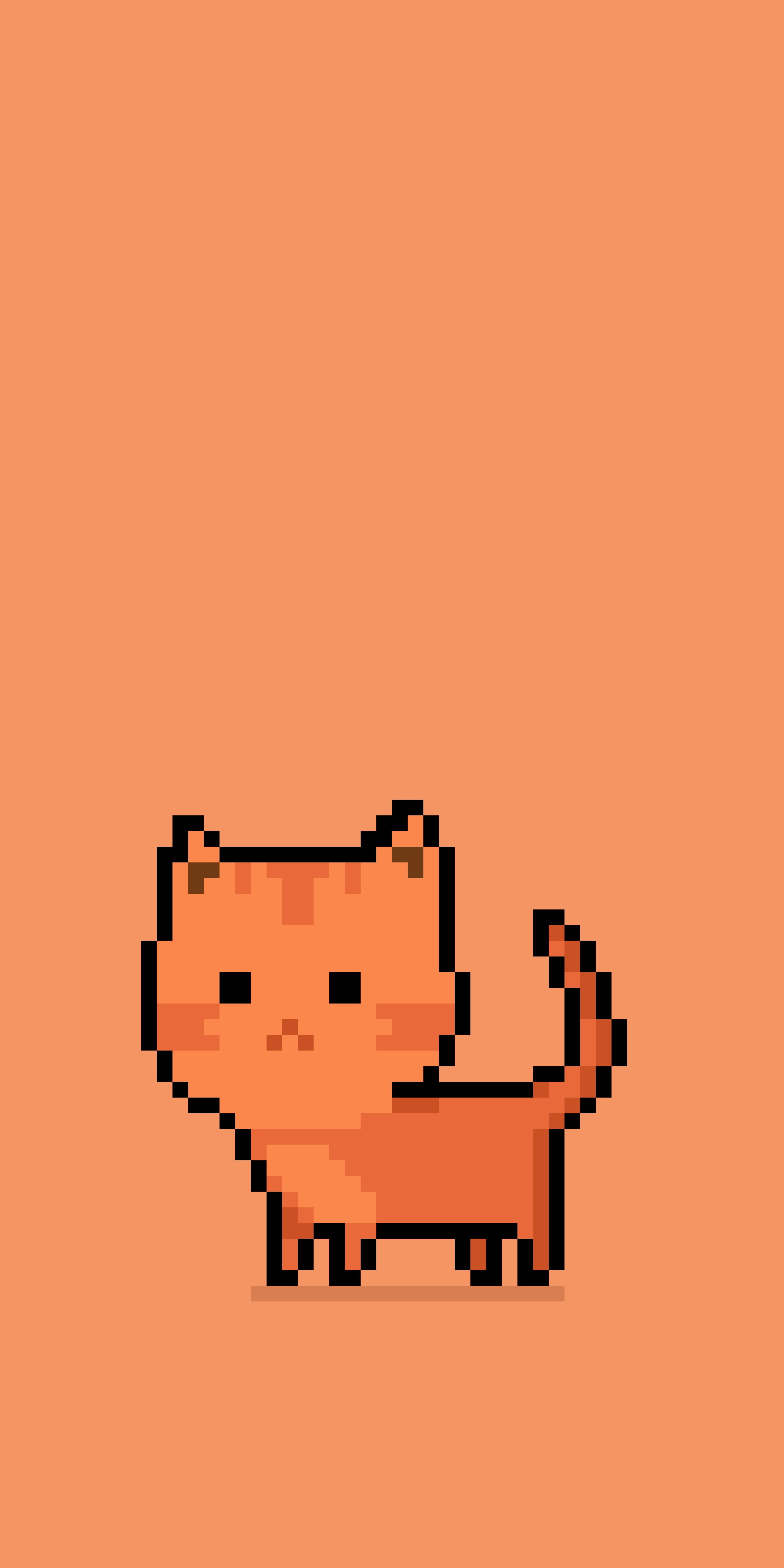 Orange Cat
